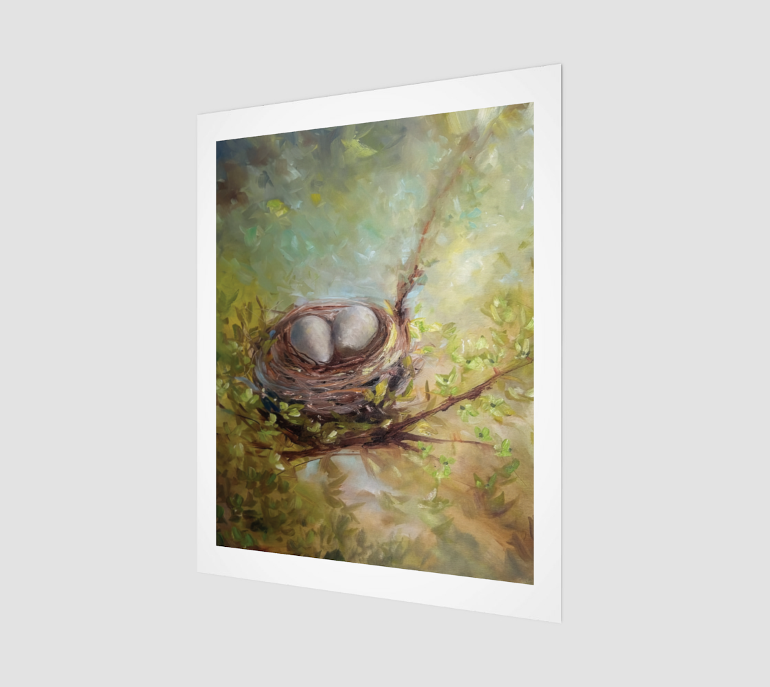 Morning Light Nest Poster 16 x 20